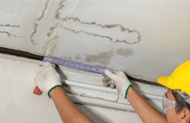 Reliable Water Damage contractor in Creston, WA by Water Damage Irwin